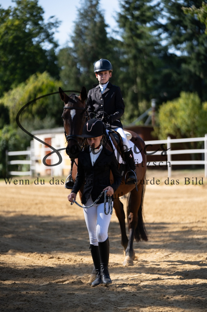 A7V02403 | Pferdefotograf