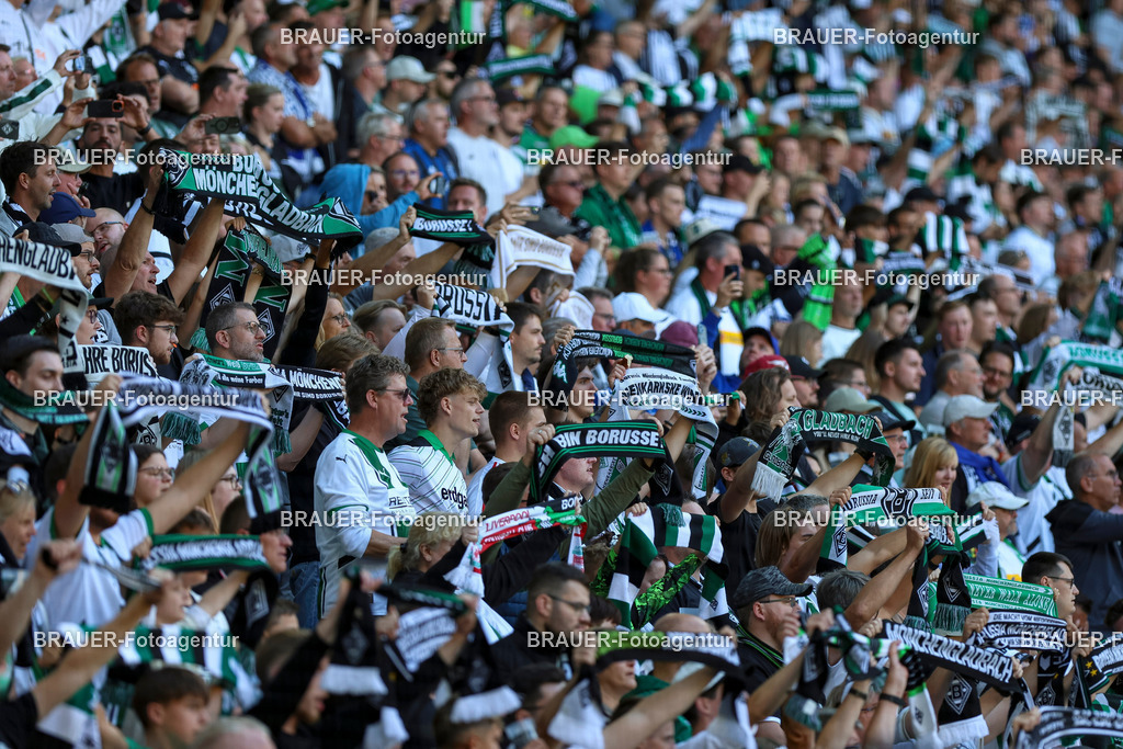 Borussia Mönchengladbach vs Hamburger SV - Bundesliga  | Mönchengladbach, Deutschland, 24.08.25:   die Fans von Borussia Mönchengladbach mit Schalswaehrend des Spiels der Bundesliga zwischen Borussia Mönchengladbach vs Hamburger SV im Stadion im Borussia Park(Foto von Brauer-Fotoagentur / Adrian Schlueter)