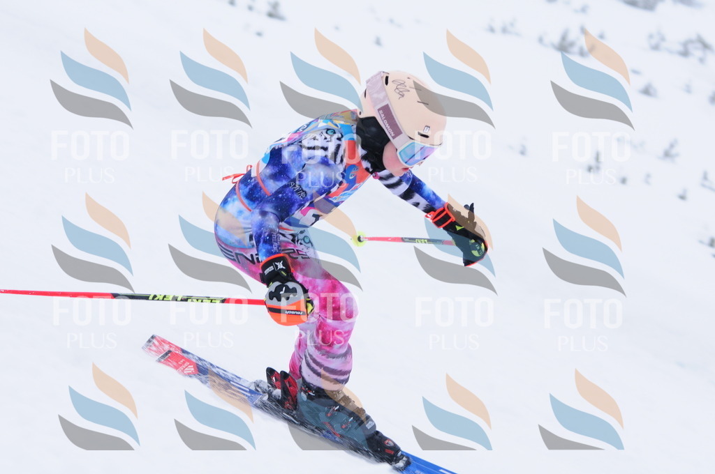 C1810 | holidayphoto