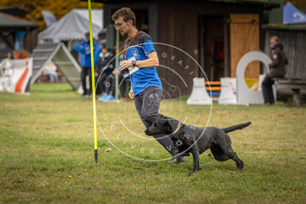 Pfotenfotografie_DV3A4842 | Hundefotografie, Tierfotograf, Pfotenfotografie, Fotoshooting Hund, Hunde Portrait, Hundesport, Hundeportraits, Heideshooting, Hunde, Sportfotograf, Hundefotograf, Turnierhundsport, THS,  - Realisiert mit Pictrs.com