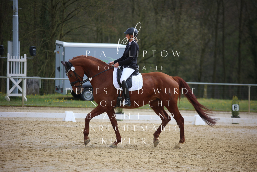 IMGT5151 | pl-fotografie