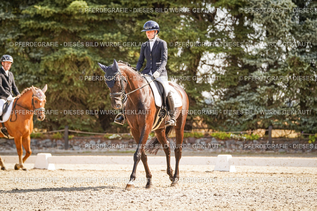 DSC00779 | Pferdegrafie