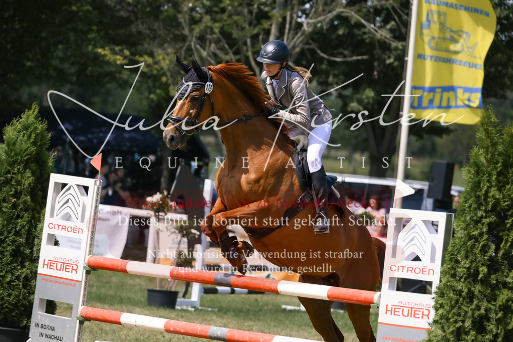 DSC_0224 | Pferde- und Turnierfotografie in Westsachsen. Pferdeportraits, Auftragszeichnungen und intuitive Kunst.