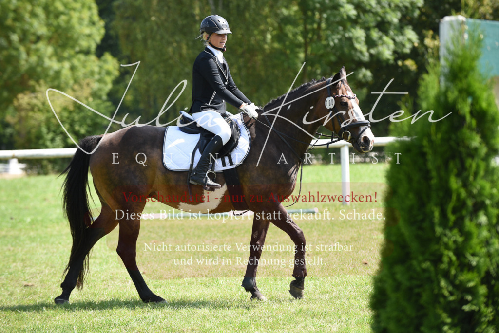 DSC_0056 | Pferde- und Turnierfotografie in Westsachsen. Pferdeportraits, Auftragszeichnungen und intuitive Kunst.