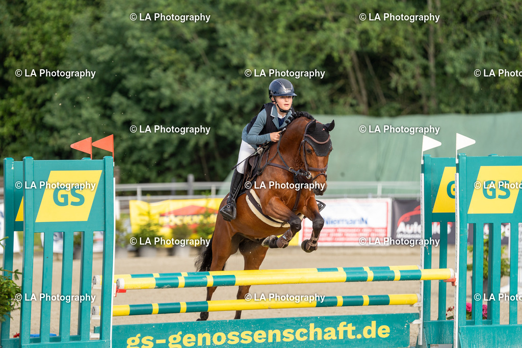 DSC03618 | Entdecke einzigartige Turnierfotos und persönliche Pferde- und Hundeportraits bei LA Photography. Für jeden Reiter und Pferd das perfekte Bild! Stöbere jetzt! - Realisiert mit Pictrs.com