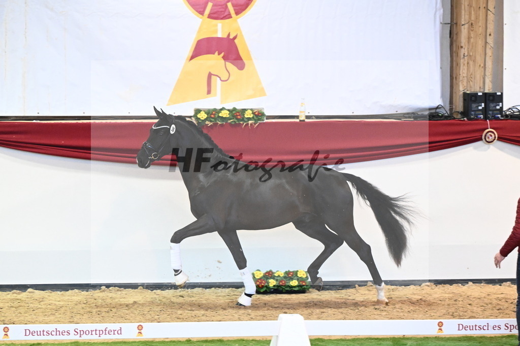 Kat.-Nr. 39 v. Dimaggio Black_Berger und Kopp_2240462 | hf-fotografie - Realisiert mit Pictrs.com