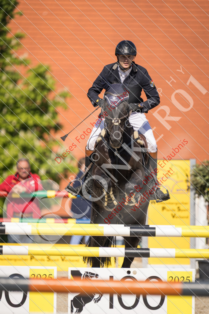 IMG_3841 | Sport-, Event- und Tierfotos in Profiqualität. Einfach auswählen, bestellen und herunterladen. Dein Moment – perfekt festgehalten.