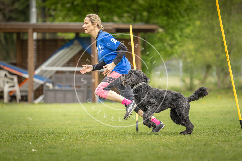 Pfotenfotografie_DV3A0106 | Hundefotografie, Tierfotograf, Pfotenfotografie, Fotoshooting Hund, Hunde Portrait, Hundesport, Hundeportraits, Heideshooting, Hunde, Sportfotograf, Hundefotograf, Turnierhundsport, THS,  - Realisiert mit Pictrs.com