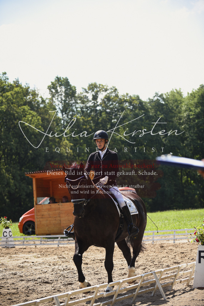 DSC_0668 | Pferde- und Turnierfotografie in Westsachsen. Pferdeportraits, Auftragszeichnungen und intuitive Kunst.