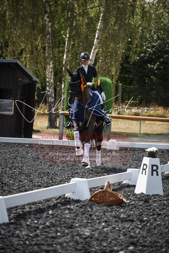 DSC_5164 | Pferde- und Turnierfotografie in Westsachsen. Pferdeportraits, Auftragszeichnungen und intuitive Kunst.
