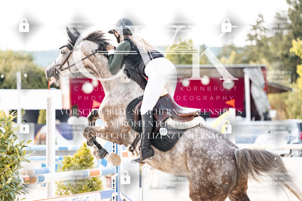 CK906617 | Turnierfotografie Pferdefotografie Trier Rheinland-Pfalz Pferdesport Reitsport Tierfotografie Sportfotografie Pferdevideo Pferdevideografie Equestrianvideography equestrianphotography  - Realisiert mit Pictrs.com