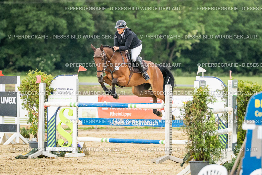 DSC07036 | Pferdegrafie