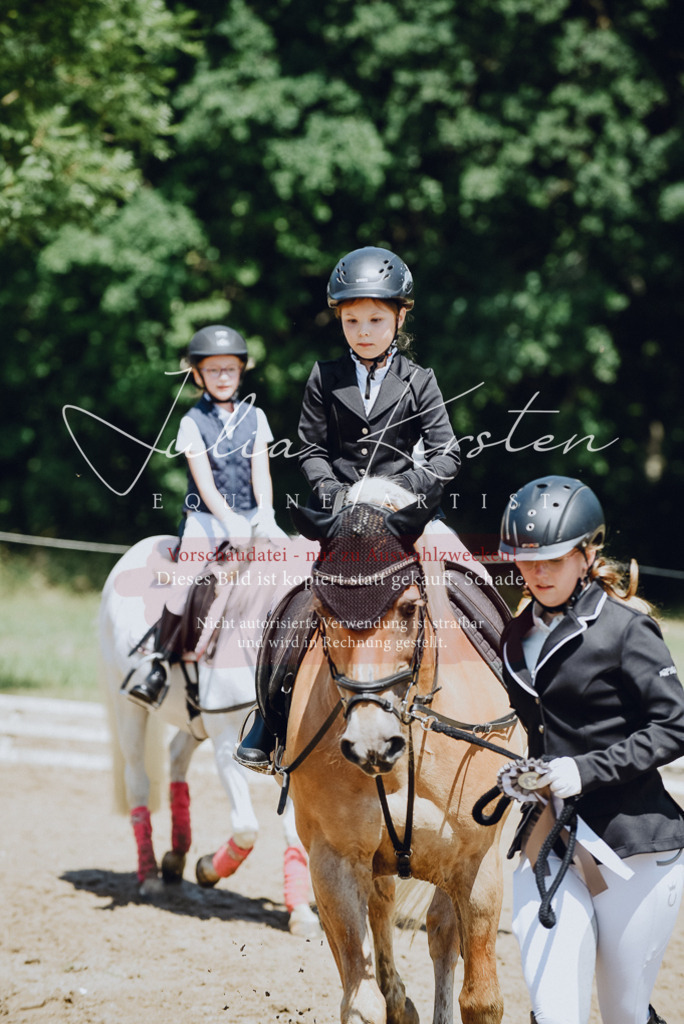 DSC_2706 | Pferde- und Turnierfotografie in Westsachsen. Pferdeportraits, Auftragszeichnungen und intuitive Kunst.