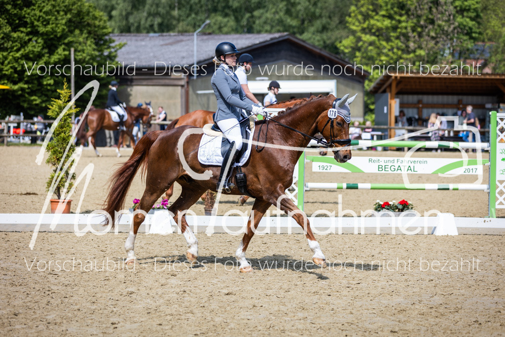 Donop24-L-Dre-037 | MomenTaufnahmen Pferdesportfotos