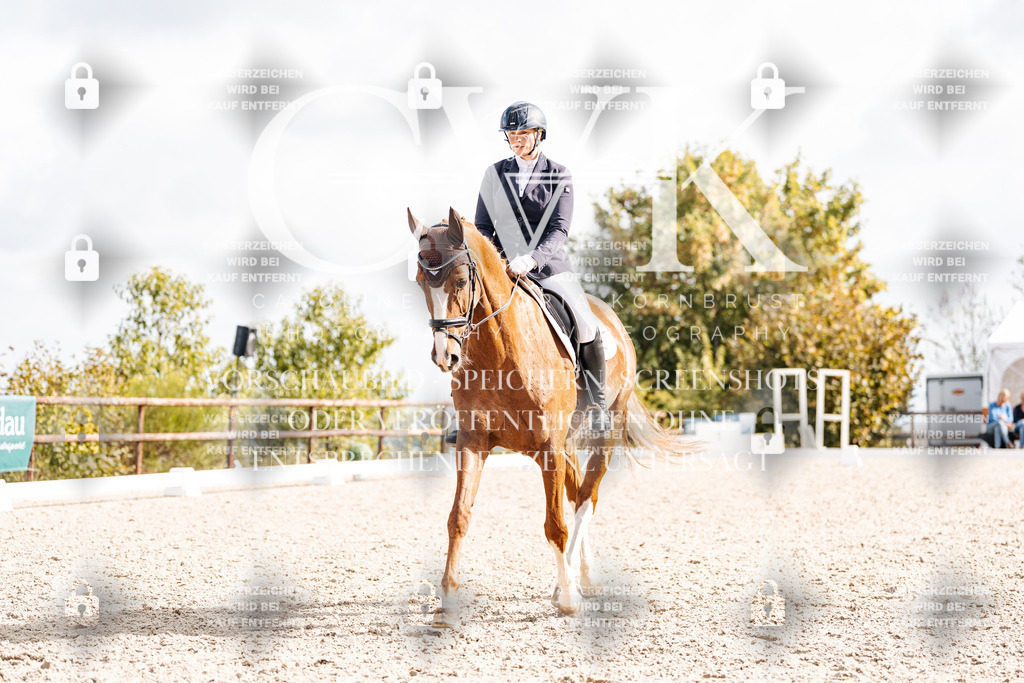 CK901826 | Turnierfotografie Pferdefotografie Trier Rheinland-Pfalz Pferdesport Reitsport Tierfotografie Sportfotografie Pferdevideo Pferdevideografie Equestrianvideography equestrianphotography  - Realisiert mit Pictrs.com
