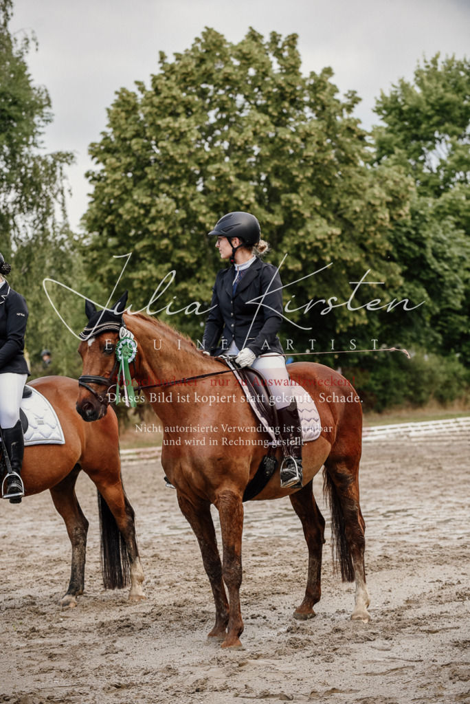 DSC_9380 | Pferde- und Turnierfotografie in Westsachsen. Pferdeportraits, Auftragszeichnungen und intuitive Kunst.