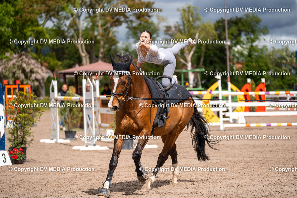 Eppelheim Tag 3-294 | dv-media-shop - Realisiert mit Pictrs.com
