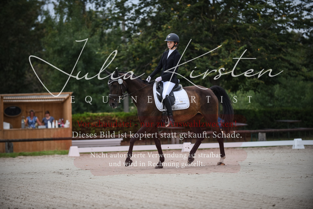 DSC_7917 | Pferde- und Turnierfotografie in Westsachsen. Pferdeportraits, Auftragszeichnungen und intuitive Kunst.