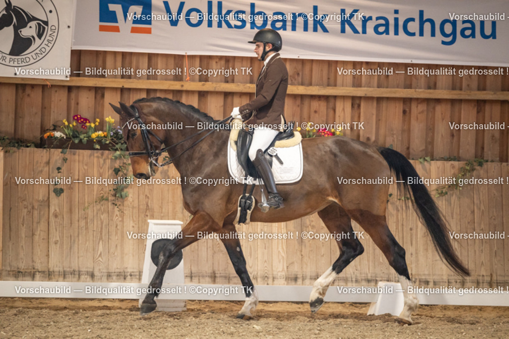 _D5A9358 | Emotionale Pferde- & People-Fotografie rund um Heidelberg, Leimen & Umgebung. Natürliche Fotos von Pferd, Mensch & Familie. Jetzt Termin sichern!