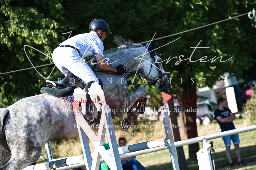 DSC_2833 | Pferde- und Turnierfotografie in Westsachsen. Pferdeportraits, Auftragszeichnungen und intuitive Kunst.