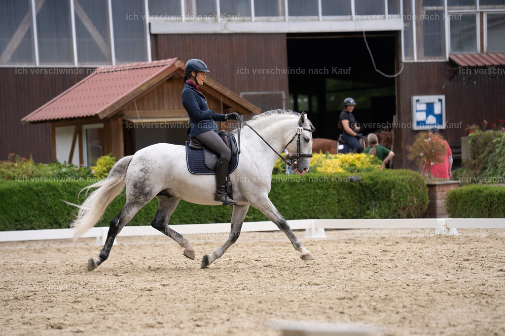 WS_DR_11_sinafilmart_IN01845 | working equitationturnier fotograf videograf stoibphotography marixx film working equitation deutschland reitsport turnierfotografie eventfotografie equestrian events
