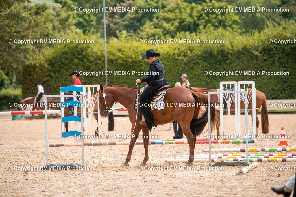 ZS2_7971 | dv-media-shop - Realisiert mit Pictrs.com