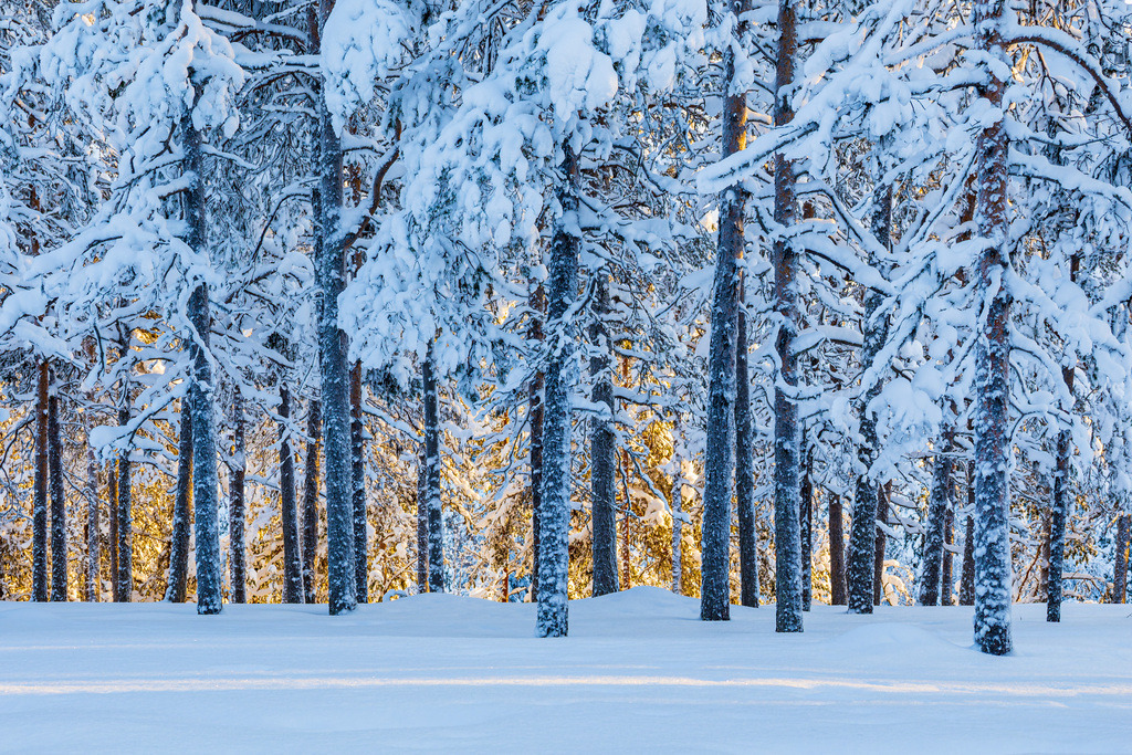 Landschaft im Winter mit Sonnenuntergang und Wald in Äkäslompolo, Finnland | Landschaft im Winter mit Sonnenuntergang und Wald in Äkäslompolo, Finnland.