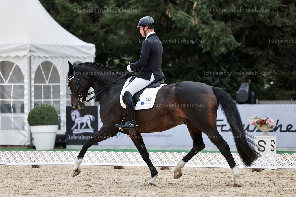 3-213-Dressur M_-StoibPH-2507 | working equitationturnier fotograf videograf stoibphotography marixx film working equitation deutschland reitsport turnierfotografie eventfotografie equestrian events