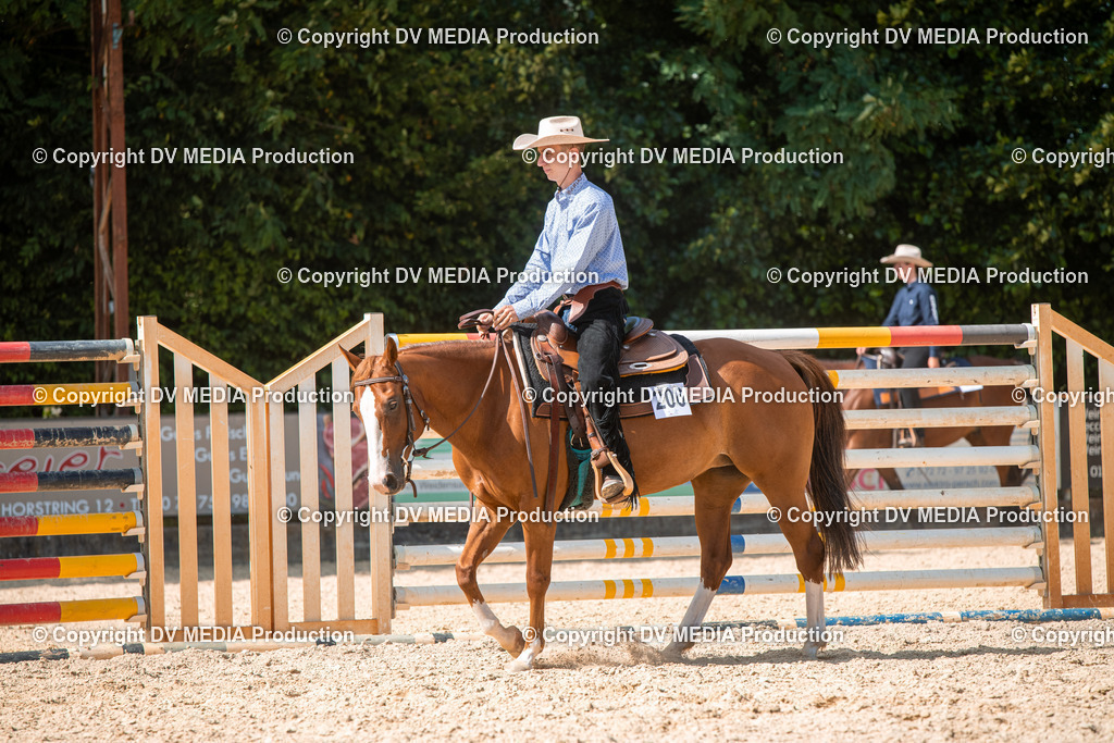 EWP_6882 | dv-media-shop - Realisiert mit Pictrs.com