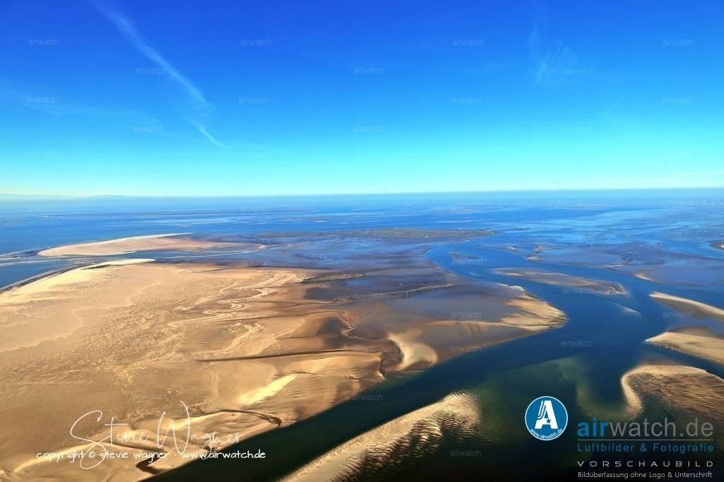 Luftbilder Sandbänke Norderoogsand, Japsand, Süderoogsand | Seehunde können oft von Ausflugsbooten aus beobachtet werden, die auf lizenzierten Routen im Wattenmeer unterwegs sind. 