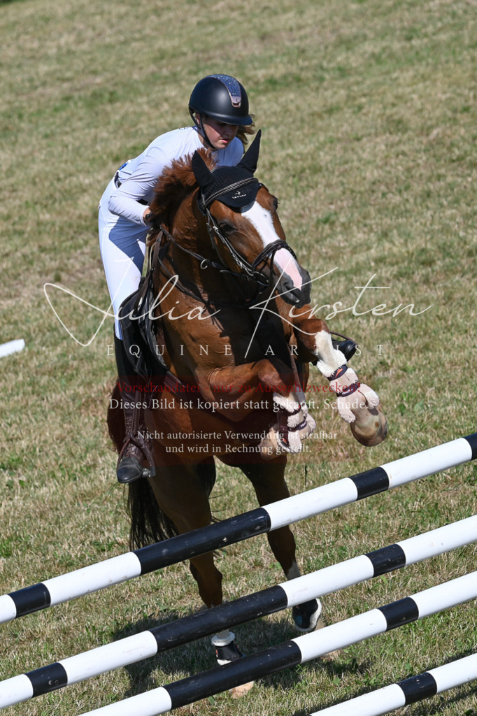 DSC_2292 | Pferde- und Turnierfotografie in Westsachsen. Pferdeportraits, Auftragszeichnungen und intuitive Kunst.