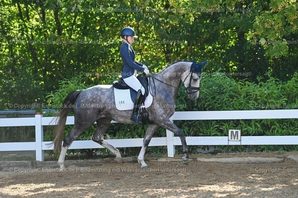 20230715_06_Dressurpferdeprfg. Kl.A_0299 | equistock