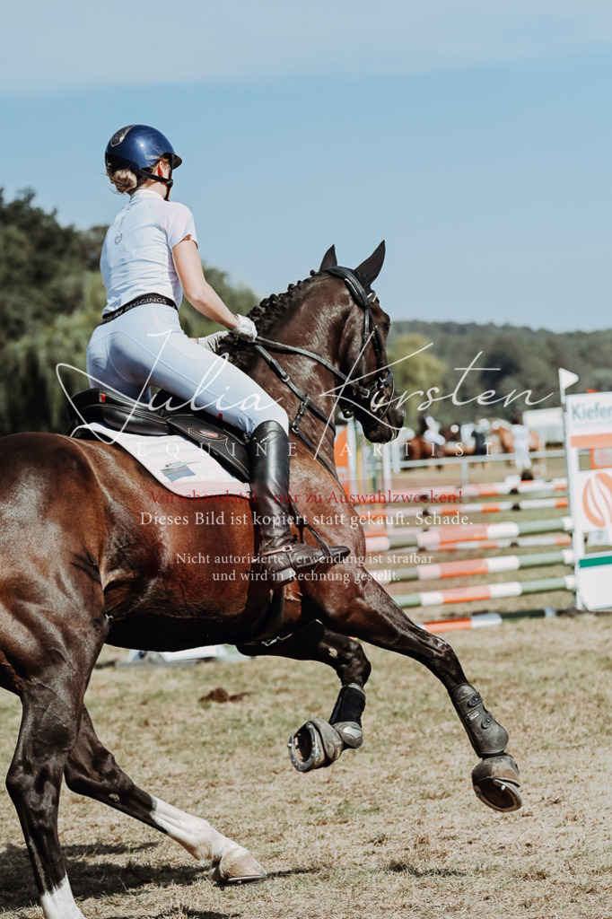 DSC_0055 | Pferde- und Turnierfotografie in Westsachsen. Pferdeportraits, Auftragszeichnungen und intuitive Kunst.
