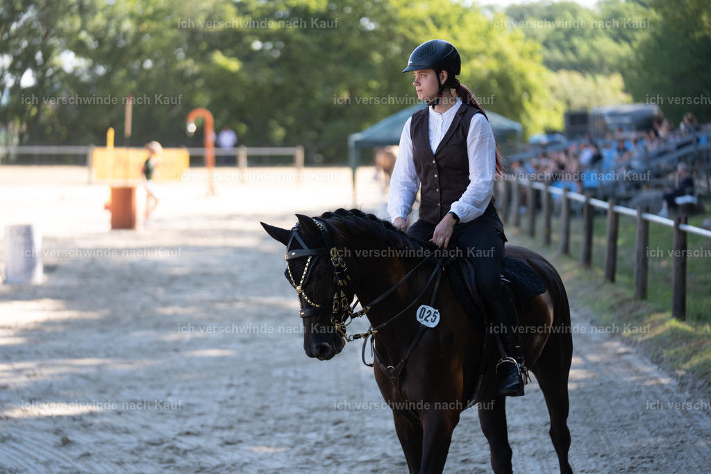 WL_SP_25_SinaFilmArt_IN06280 | working equitationturnier fotograf videograf stoibphotography marixx film working equitation deutschland reitsport turnierfotografie eventfotografie equestrian events