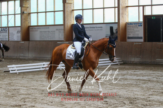 DKP44123 | Turniersportfotografie; Pferdefotografie; Dressurfotografie