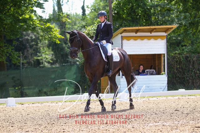 DKP42420 | Turniersportfotografie; Pferdefotografie; Dressurfotografie