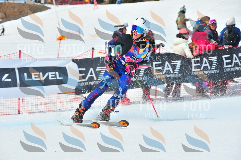 DSC_5963 | holidayphoto