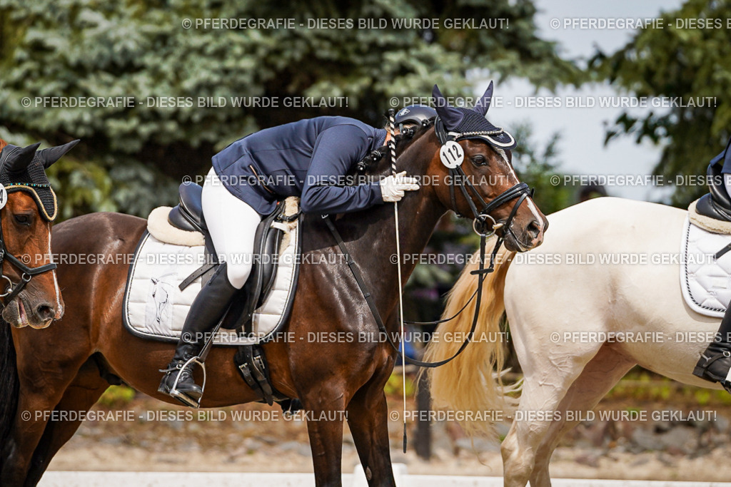 DSC04465 | Pferdegrafie