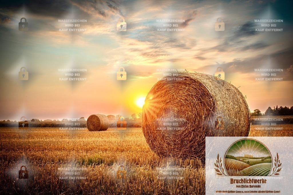 Strohballen im Abendlicht | Professioneller Fotograf mit 10 Jahren Erfahrung. Landschafts- und Hochzeitsfotografie im Oderbruch. Workshops und beeindruckende Bilder für besondere Momente.