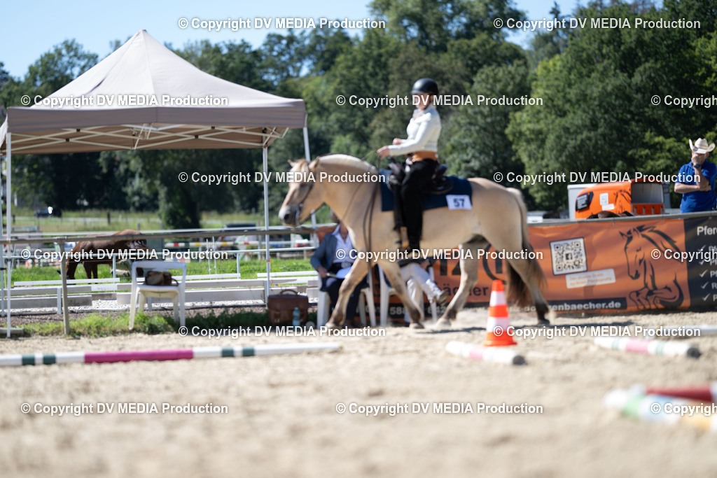 LM Heiligenwald Tag 1-1511 | dv-media-shop - Realisiert mit Pictrs.com