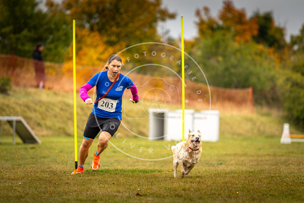 Pfotenfotografie_DV3A2025 | Hundefotografie, Tierfotograf, Pfotenfotografie, Fotoshooting Hund, Hunde Portrait, Hundesport, Hundeportraits, Heideshooting, Hunde, Sportfotograf, Hundefotograf, Turnierhundsport, THS,  - Realisiert mit Pictrs.com