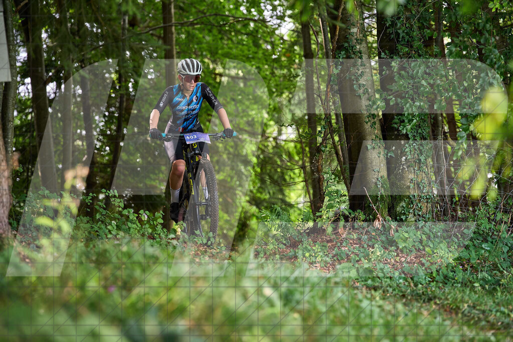 Betriebszentrum Laubenbachmühle, Frankenfels, Österreich - 13. September 2025: Dirndltal Race - Fun und Trophy RaceFotograf: Martin Bihounek / martinbihounek.com | 13. September 2025 Betriebszentrum Laubenbachmühle, Frankenfels, Österreich : Dirndltal Race - Fun und Trophy Race •••••Photo by: Martin Bihounek / martinbihounek.comInsta: @martinbihounekcom