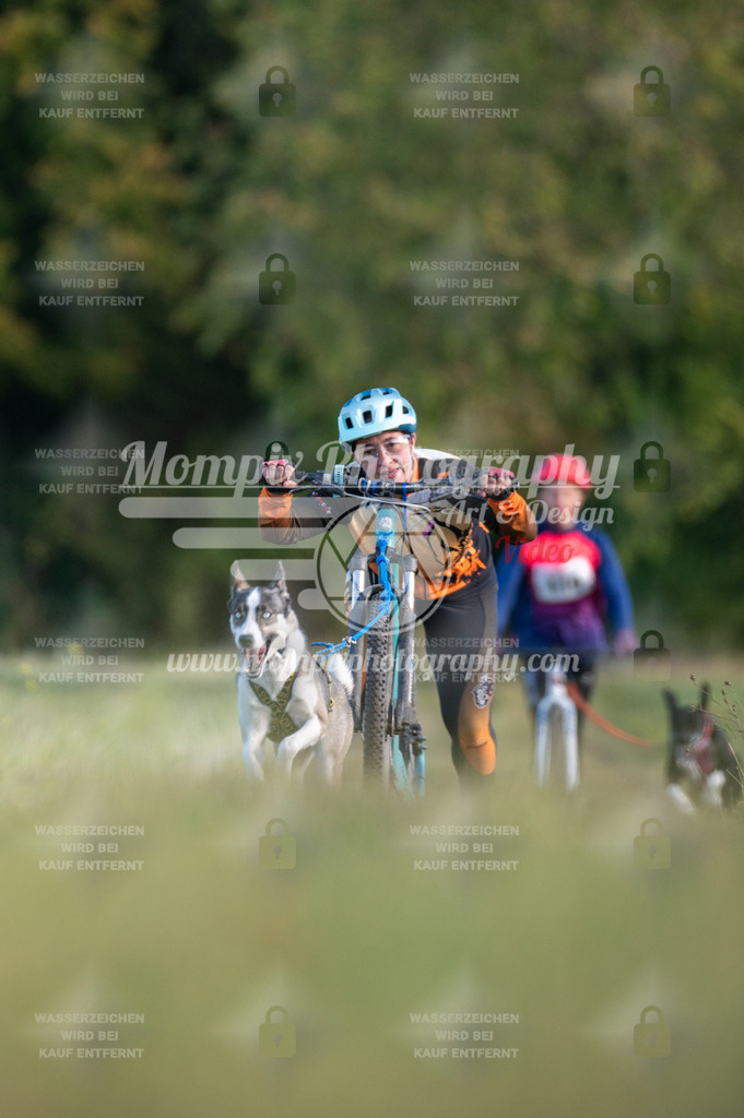 CDLBDB_15_10_2023_Dimanche-282 | PayLife