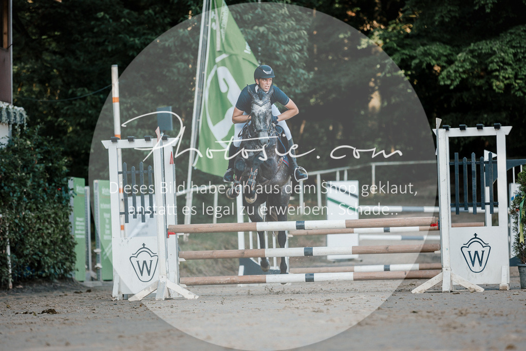 3I6A6110 | Stimmungsvolle Portraits und Reitsportfotografie im Ruhrgebiet und im Münsterland.

Pferdefotografie, Hundefotografie, Tierfotografie, Reportagen, Portraits von Tier und Mensch, Turnierfotografie in Bochum, Recklinghausen, Marl, Haltern am See, Dülmen.. - Realisiert mit Pictrs.com