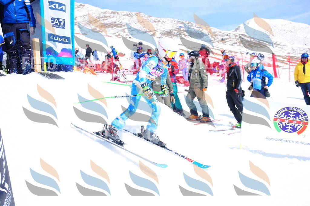 DSC_6174 | holidayphoto