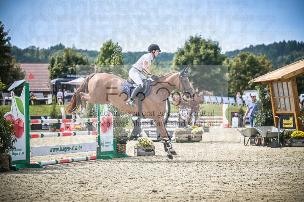 DOS_6017 | Entdecke hochwertige Reitturnierfotos von Foto Oger. Professionell, emotional und authentisch – jetzt Lieblingsmomente im Shop bestellen.Deutschlandweite Turnierfotografie. - Realisiert mit Pictrs.com