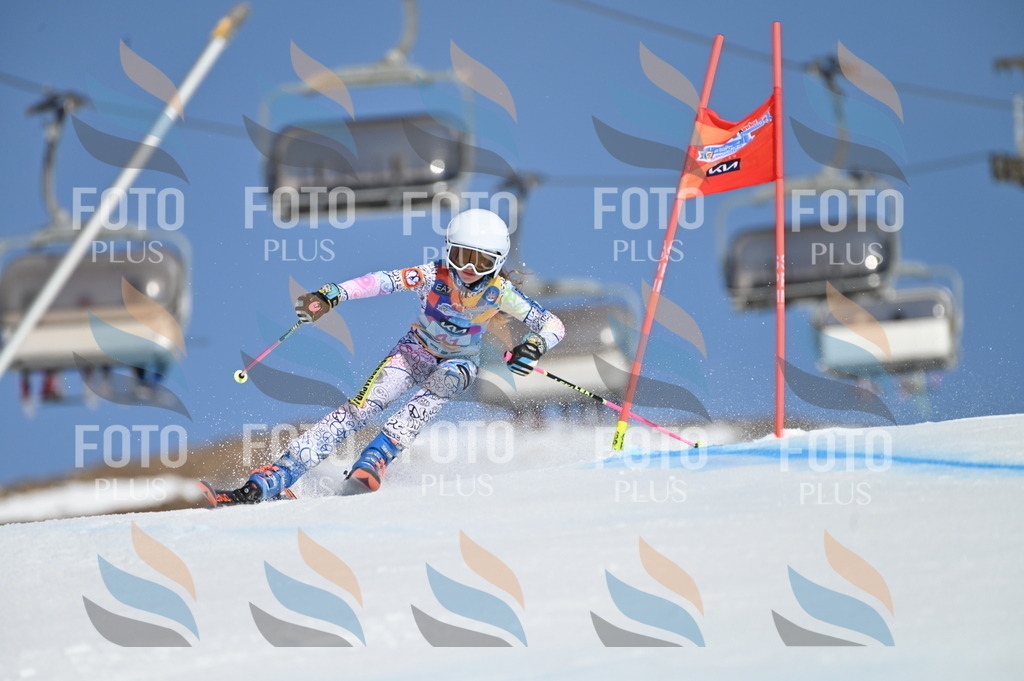 BGV_8363 | holidayphoto