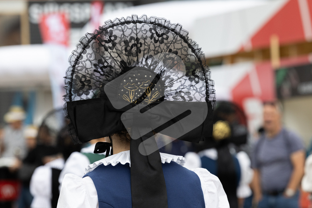 ESAF2025_Freitag_4139 | Die Schwinger des Schwyzer Kantonalen Schwingerverbandes: Fotos, die Dynamik und Leidenschaft festhalten, sowie emotionale Momente aus dem traditionellen Schwingsport zeigen. - Realisiert mit Pictrs.com