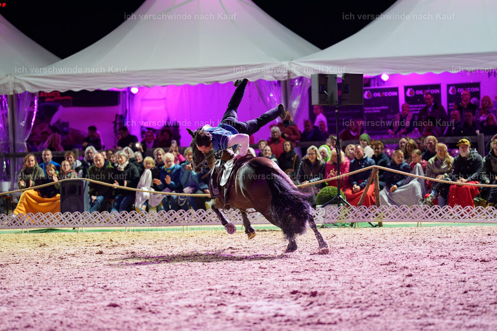 FHC2025 Show-1818 | working equitationturnier fotograf videograf stoibphotography marixx film working equitation deutschland reitsport turnierfotografie eventfotografie equestrian events