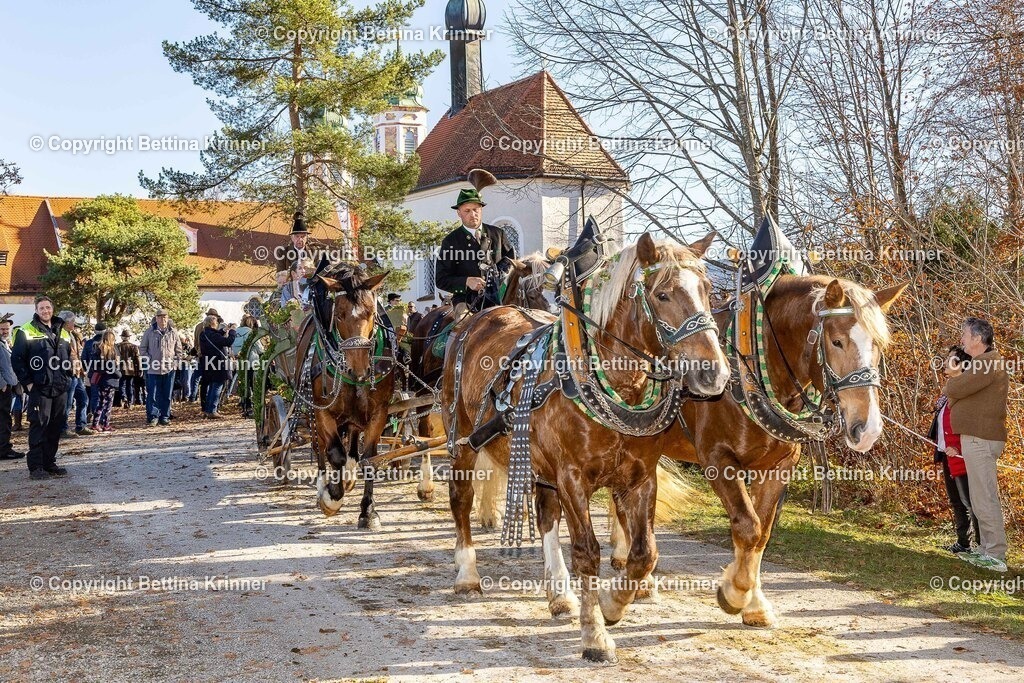LBT25-1380 | foto-bettina-krinner - Realisiert mit Pictrs.com